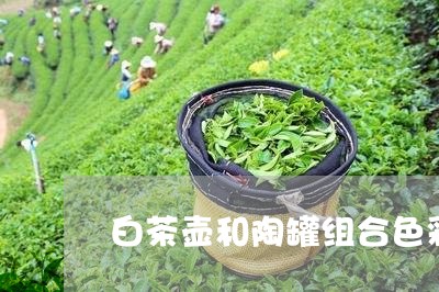 白茶壶和陶罐组合色彩静物/2023041471515