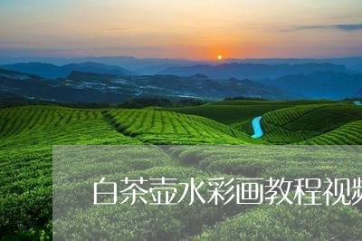 白茶壶水彩画教程视频简单/2023041405036