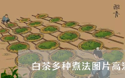 白茶多种煮法图片高清大图/2023041191483