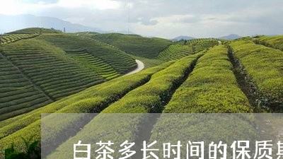 白茶多长时间的保质期最好/2023041075940