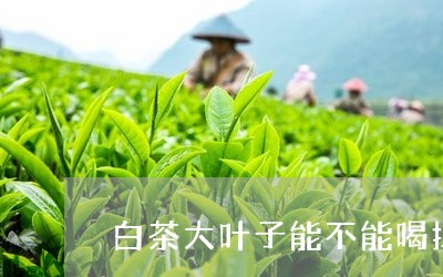 白茶大叶子能不能喝掉一点/2023041012716