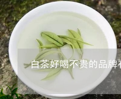 白茶好喝不贵的品牌有哪些/2023041059392