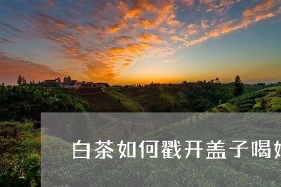 白茶如何戳开盖子喝好不好/2023041096036