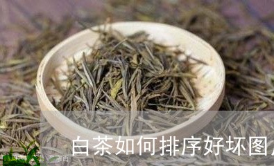 白茶如何排序好坏图片对比/2023041471627