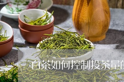 白茶如何控制投茶量的变化/2023041065252