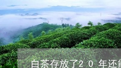 白茶存放了20年还能喝吗/2023033103038