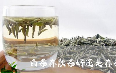 白茶存散茶好还是存茶饼好/2023041163727