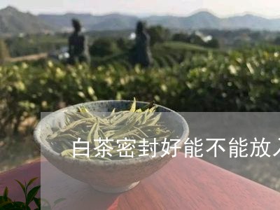 白茶密封好能不能放入冰箱/2023041107149