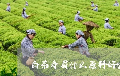 白茶寿眉什么原料好呢图片/2023041193814