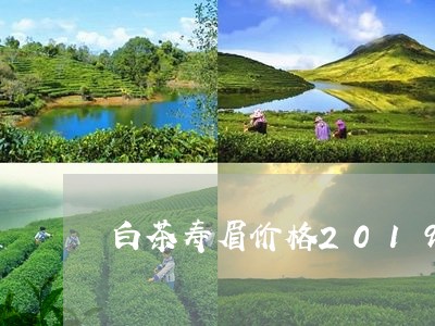 白茶寿眉价格2019福鼎/2023033077260