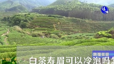 白茶寿眉可以冷泡吗怎么泡/2023041146279