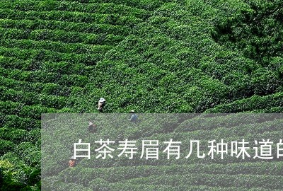 白茶寿眉有几种味道的茶叶/2023041429362