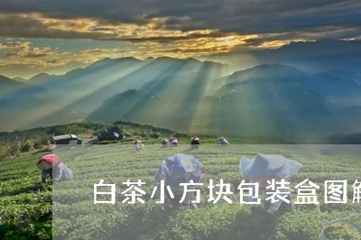 白茶小方块包装盒图解视频/2023041137268