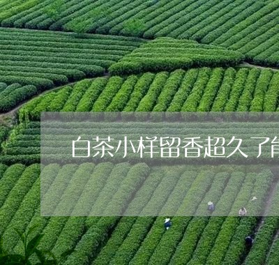 白茶小样留香超久了能喝吗/2023041418403