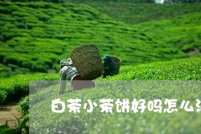 白茶小茶饼好吗怎么泡好喝/2023041101473