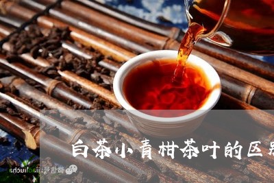 白茶小青柑茶叶的区别图片/2023041197059