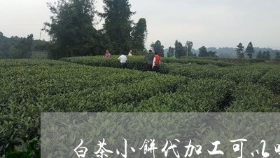 白茶小饼代加工可以吗视频/2023041128181