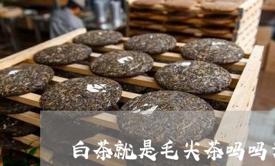 白茶就是毛尖茶吗吗为什么/2023041161503