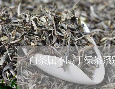 白茶属不属于绿茶系别的茶/2023041101046