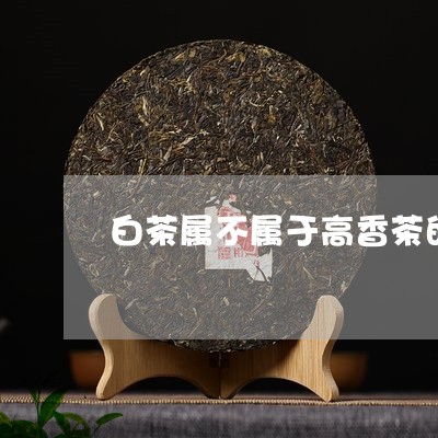 白茶属不属于高香茶的一种/2023041177172