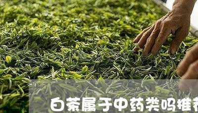 白茶属于中药类吗推荐/2023041153249