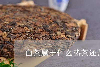 白茶属于什么热茶还是凉茶/2023041108163