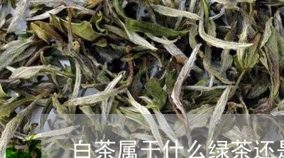 白茶属于什么绿茶还是红茶/2023041027351