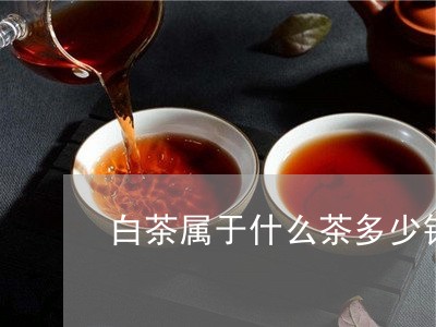 白茶属于什么茶多少钱一两/2023041377604