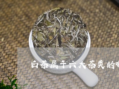 白茶属于六大茶类的哪一类/2023041410525