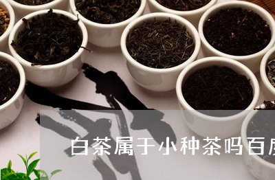 白茶属于小种茶吗百度/2023041107048