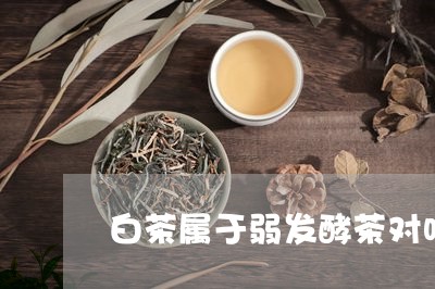 白茶属于弱发酵茶对吗好吗/2023041122726