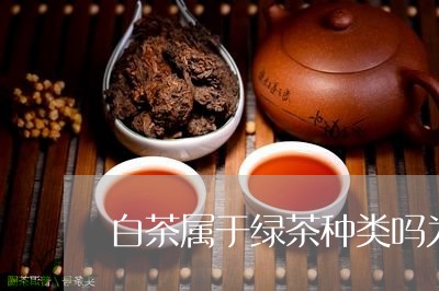 白茶属于绿茶种类吗为什么/2023041128608