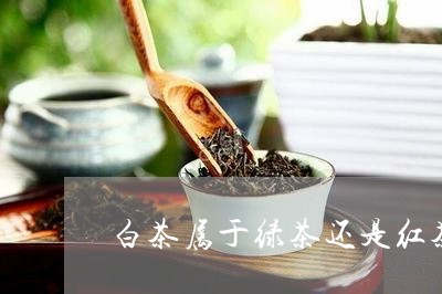 白茶属于绿茶还是红茶绿茶/2023041411704