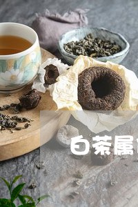 白茶属什么茶黄芪水有啥用/2023041193838