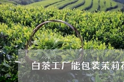 白茶工厂能包装茉莉花茶吗/2023041117360