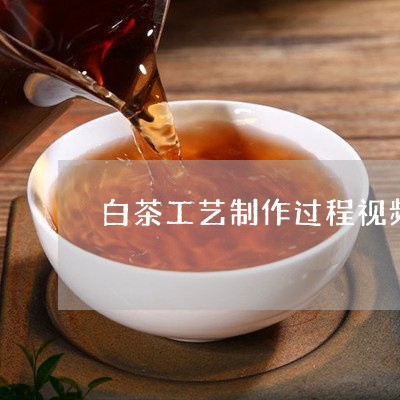 白茶工艺制作过程视频讲解/2023041484037