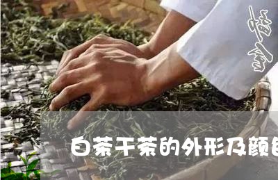 白茶干茶的外形及颜色形状/2023041448460