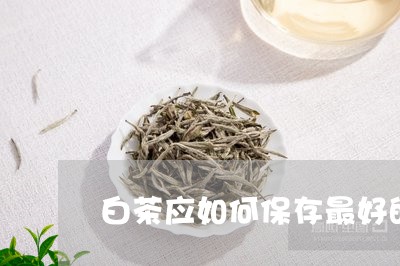 白茶应如何保存最好的方法/2023041383746