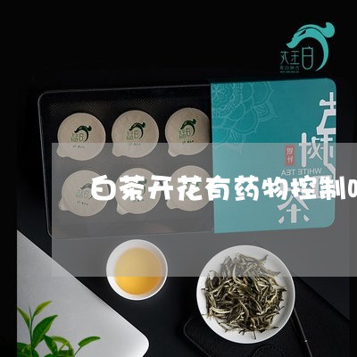 白茶开花有药物控制吗百度/2023041413945