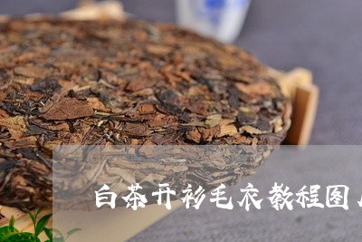 白茶开衫毛衣教程图片视频/2023041172707