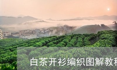 白茶开衫编织图解教程视频/2023041178369