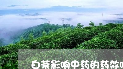 白茶影响中药的药效吗/2023041149794