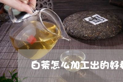 白茶怎么加工出的好看图片/2023041407461