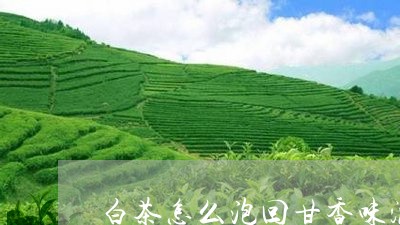 白茶怎么泡回甘香味浓一点/2023041123048