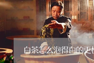 白茶怎么泡得白的更快一些/2023041498362