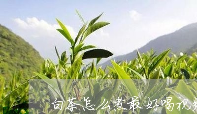 白茶怎么煮最好喝视频教学/2023041061829