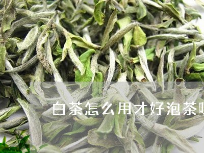 白茶怎么用才好泡茶呀视频/2023041039372