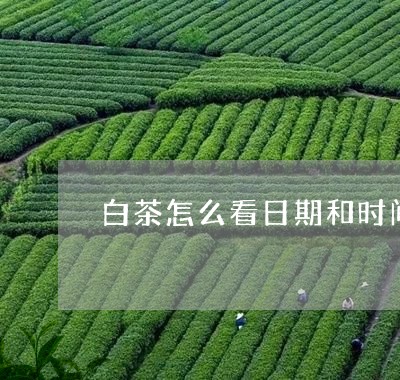 白茶怎么看日期和时间好坏/2023041092813