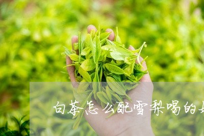 白茶怎么配雪梨喝的好一点/2023041069612