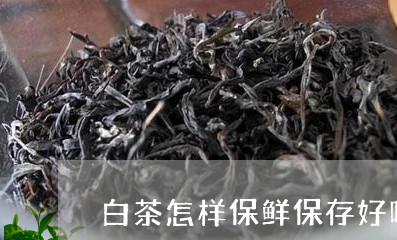 白茶怎样保鲜保存好呢图片/2023041099591